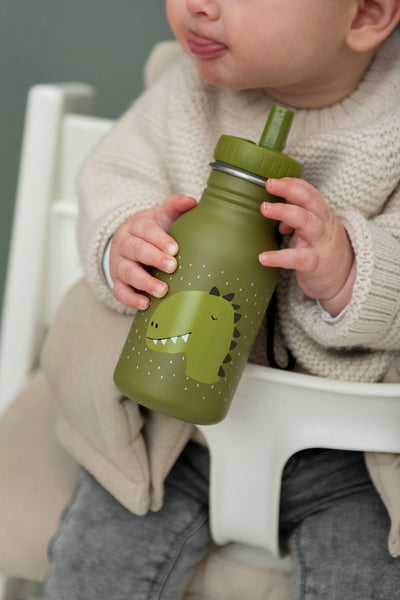 Gourde Mr Dino 350ml