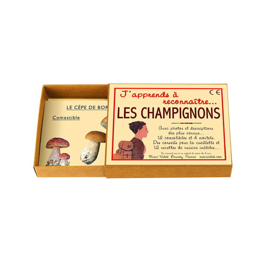 J'apprends à reconnaître les Champignons