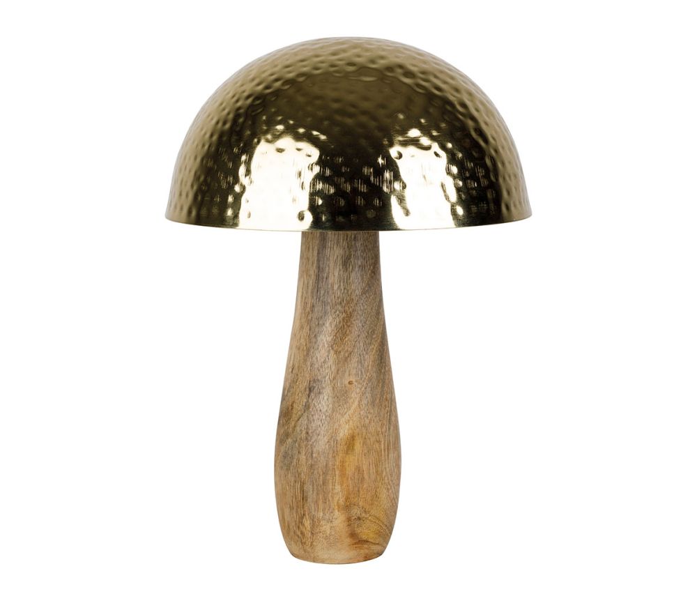 Champigon Cauterets H30cm