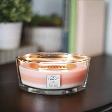Bougie Ellipse Trilogy Verger en Fleurs 453g