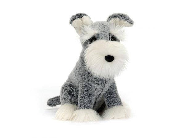 Chien Lawrence Schnauzer (12m+)