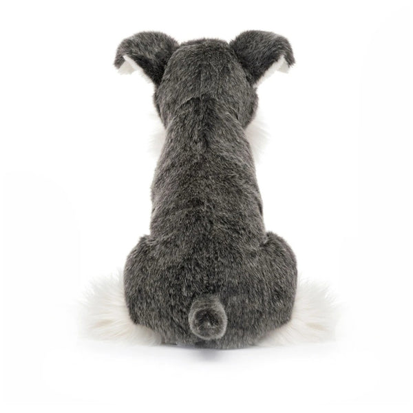 Chien Lawrence Schnauzer (12m+)