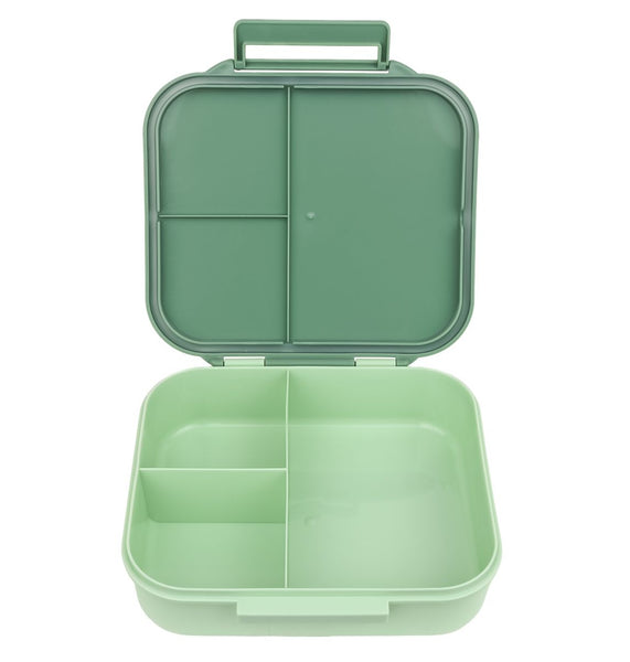Lunch Box Dino