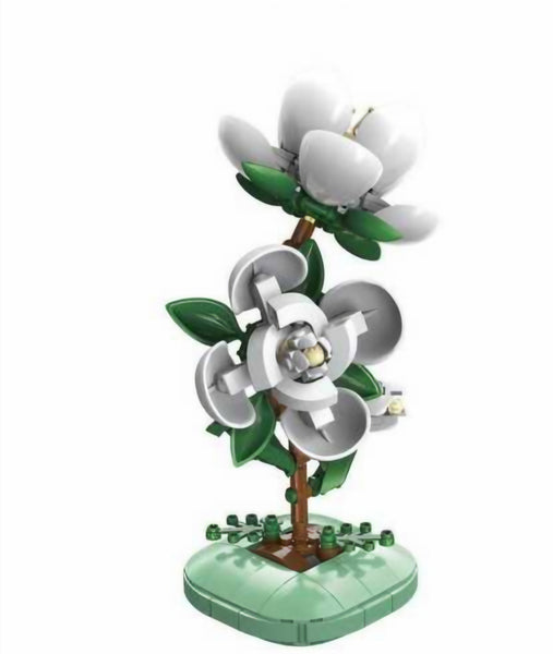 Pot de Camélia (8+)