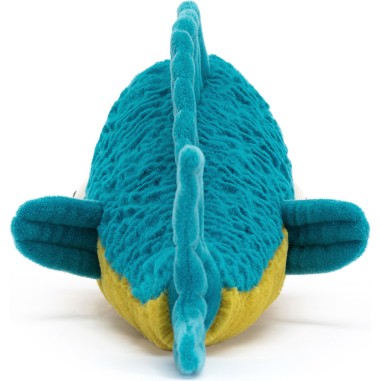 Poisson Delano Dorade (0+)