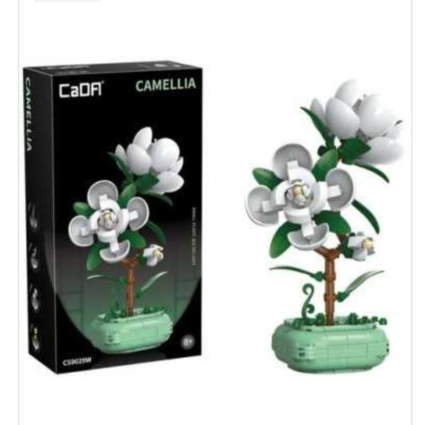 Pot de Camélia (8+)