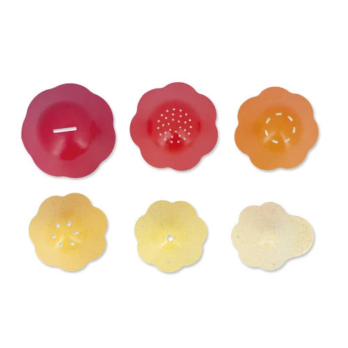 Bernard et sa Coquille (10m+)