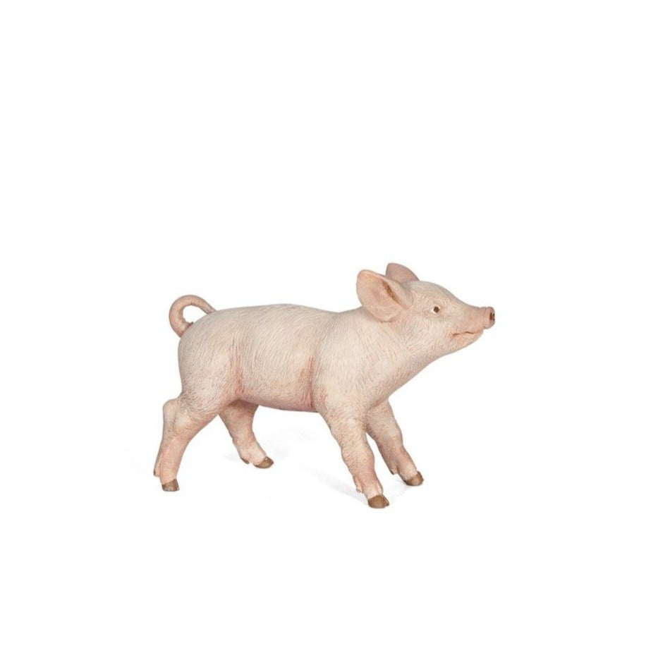 Cochonnet femelle