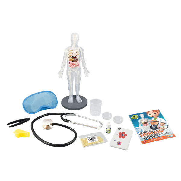 Le corps humain (8+)