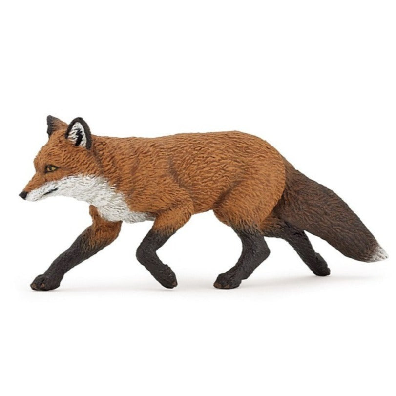 Renard